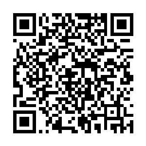 季婉茹和易扬已经搬到了杨霸天这里混吃混喝混住二维码生成