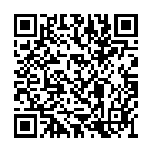 季宸渊将眸光移到了苏嫣那柔和的侧颊上看了看二维码生成
