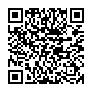 季宸渊看了看那装着的血珠的盒子之后反手将那盒子放入了袖中二维码生成