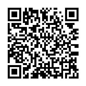 季宸渊看着苏嫣这谨慎害怕的样子唇角一笑说道二维码生成