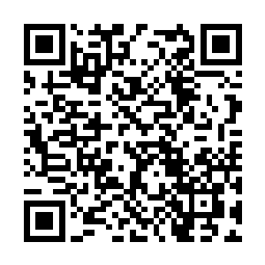 季岚没想到自己女儿的根基竟然会打造的这般出色二维码生成