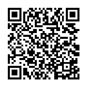 季泽爵和朱翎雨死死的盯着这两团紫藤雷火本源二维码生成