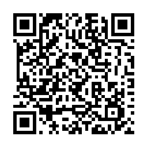 季疏云和君无极的婚事的消息好像野火一样蔓延而开二维码生成