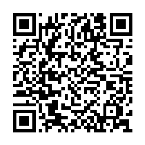 季疏云看着那些从绝望中又生出了希望的百姓们二维码生成