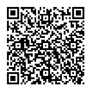 孤冷和叶松那两个神王中期的大能和叶啸云那个神人初期的大能还被镇压在天空之城之下二维码生成