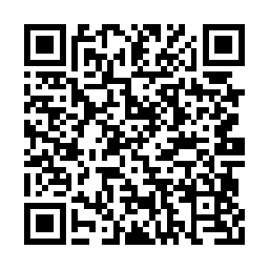 孤默宝钏不断地低声发出古怪的音节和猛兽沟通二维码生成