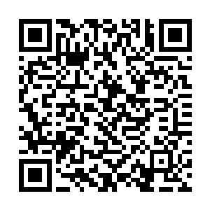 学习与打工两件事几乎已经快把她的时间占得满满的二维码生成