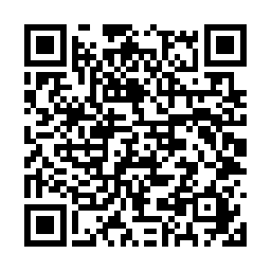 学校有一位十年前毕业的骨科医生恰好在隔壁城市二维码生成