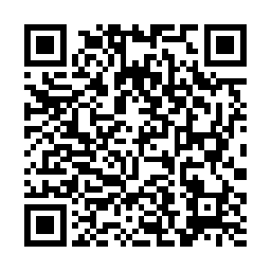 学校认为你并不是那种拎不清的人这么做一定有苦衷二维码生成