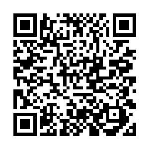 学校里的那些传言都是郑晓晓通过郑喵喵传播出来的二维码生成