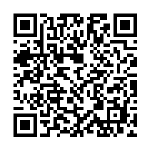 学生疯狂……生理心理层面遭受的创伤一次比一次大二维码生成