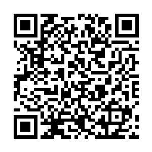 学着马特和齐一铭的样子把脑袋伸出了船舷望着水面下二维码生成