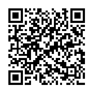 学者们将能否制造工具当成人类和动物之间的区别二维码生成