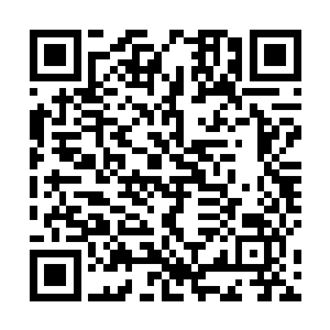 学院每年都会为优秀的学员提供一年的奖学金作为奖励二维码生成