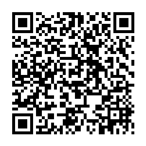 孩子们也终于见识到了父辈们光鲜之外的一面……他们已经不是小孩子了二维码生成