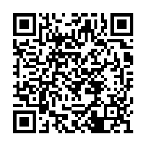 孩子们对于水族馆这类的地方永远是最感兴趣的二维码生成