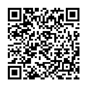 孩子们的小脸顿时就会垮掉……指望一群小狼去吃菜二维码生成