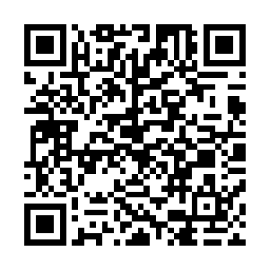 孩子在朱雀中学读书的父母们也向自己的子女打听这件事情二维码生成