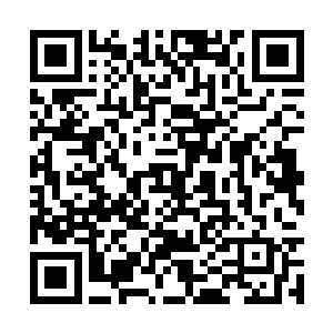 孩子当中能够理解格物也对此有些兴趣的便是宁曦二维码生成