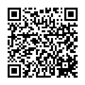 孩子的父亲还真的就是头一次跟自己这么严肃的提及这个问题了二维码生成