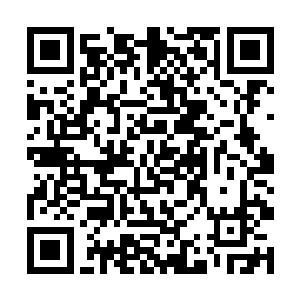 宁五被苏落之前那一番惊艳打击的暂时没有战斗力了二维码生成