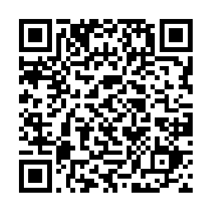 宁伍泽和宁德万都被宁氏的律师拿出来替宁可钦顶罪二维码生成