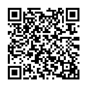 宁园在莲生姐姐和七尾姐姐的关照下也都一团和气二维码生成