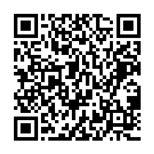 宁姓枯瘦老者除了在易道生战斗所在发表过言语之外二维码生成