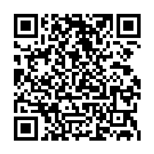 宁愿用石刀多弄一会儿也不愿意动用自己的爱刀二维码生成