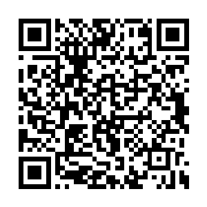 宁灵雨正认真的给哥哥擦拭着脸上和胸前的血迹二维码生成