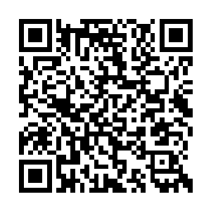 宁王在冬至那日由当今圣上和太子亲自送出了城二维码生成