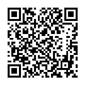 宁王朱宸濠只能是言语上的一些看似夸奖实则讽刺的话了二维码生成