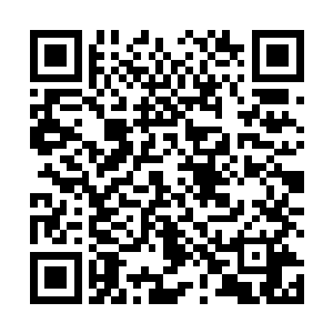 宁王朱宸濠的赐死怕是和白莲教有什么不明不白的牵扯二维码生成