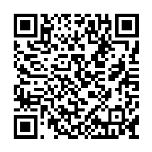 宁绯发觉自己不自觉地被带到了其中一条岔路上二维码生成