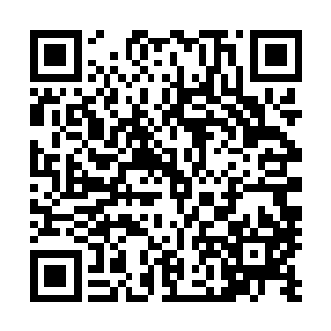 宁逸海说苏落你不就是担心我不够诚心所以才迟迟没有答应二维码生成
