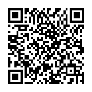 它不知道的是在旁边看着它急的直转圈的男人笑的有多二维码生成