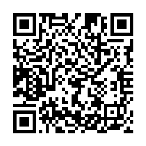 它也和其他修炼者一样努力用功就为了自己可以活下去二维码生成