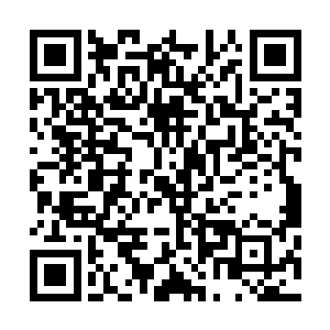 它也是如履平地一般的轻松跨越的……区区至尊灵兽的嘴巴二维码生成
