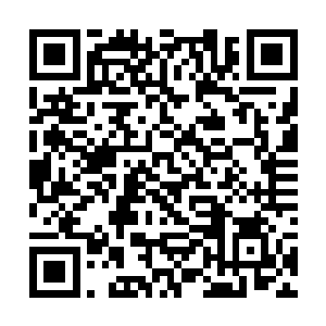 它也终于从一片不毛之地变成了如今的欣欣向荣之所二维码生成