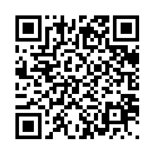 它从我脚边一个隐秘洞口里钻了出来二维码生成