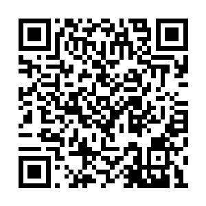 它代表了一切自然古神笼罩的事物对生物的认可二维码生成