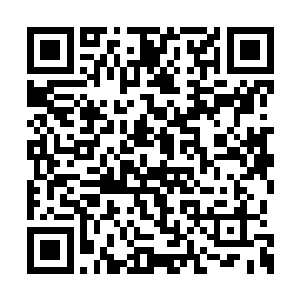它们一定在翘首以盼神一样的少年早点解救它们二维码生成