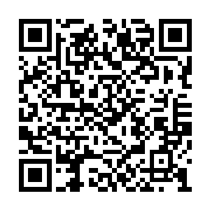 它们一旦出现在战场上那就是不死不灭的绞肉机二维码生成