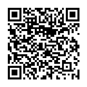 它们习惯了在外面生活才不喜欢待空间钮那个小黑屋呢二维码生成