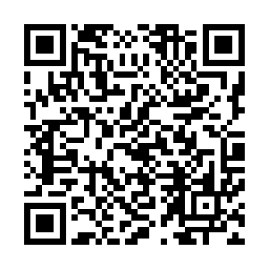 它们会因为小穿沙甲发出痛苦的嘶嘶声而不由自主屏住呼吸二维码生成