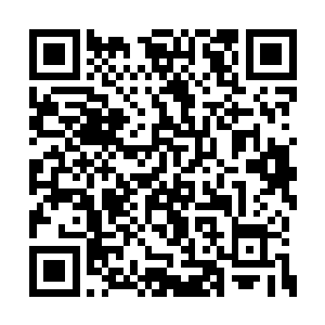 它们似乎是被马文体内某个东西主动吸纳进去的二维码生成