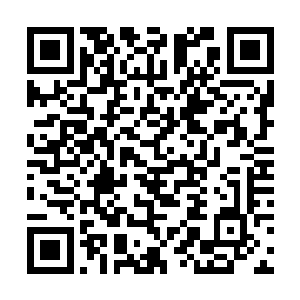 它们体内的蓝星可以释放出具有强大威能的死亡星光二维码生成