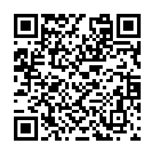 它们便可发动一次丝毫不逊于天相之击的气血践踏二维码生成