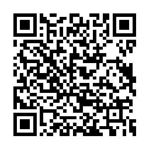 它们便注定了将在这进化的大时代中淘汰的命运二维码生成