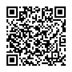 它们便自动吸收众人残留的精神力和天地之间的自然之气二维码生成